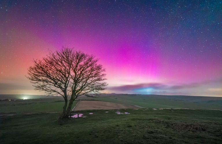 A lone tree silhouetted against a vibrant aurora-filled night sky.